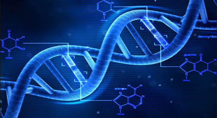 Invenzioni biotecnologiche