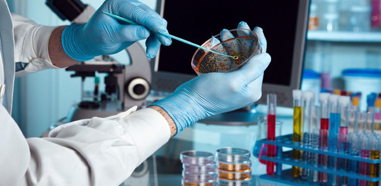 Che cosa sono i brevetti biologici?